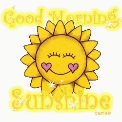 a cartoon sun with hearts on its eyes and the words good morning sunshine below it