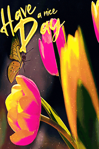 a butterfly sits on a pink flower with the words have a nice day written below it