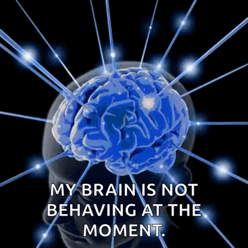 a drawing of a brain with the words my brain is not behaving at the moment