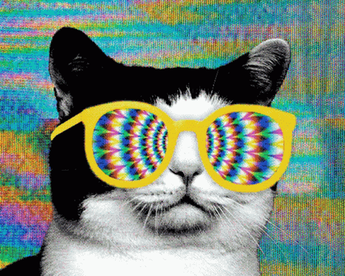 Psychedelic Cat GIF - Psychedelic Cat Whoa GIFs