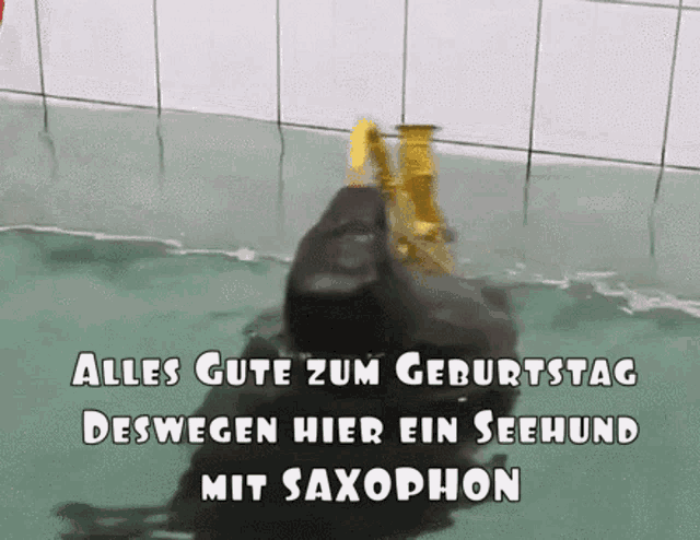 a scuba diver is playing a saxophone in a pool of water