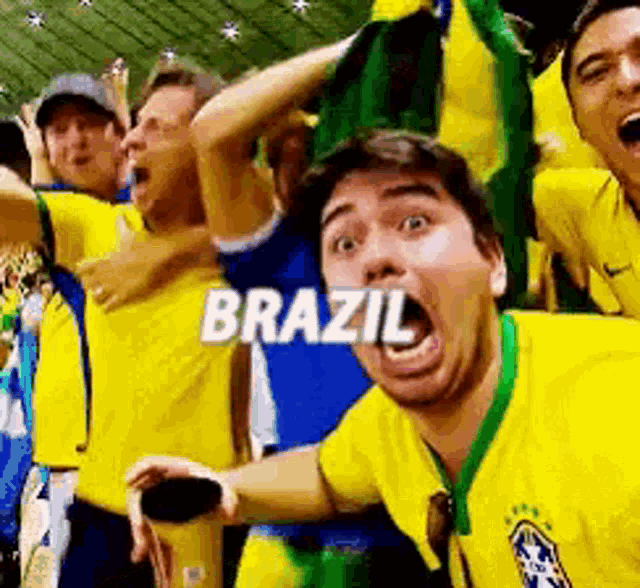 brazil-cheering.gif
