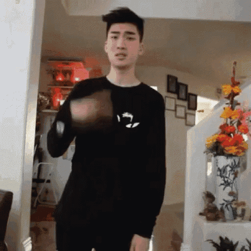 a young man in a black shirt is standing in a living room with a vase of flowers in the background .
