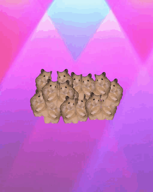 a bunch of hamsters are sitting in a row on a pink background