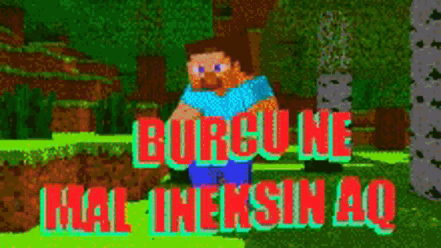 a screenshot of a video game with the words burgu ne hal ineksin aq