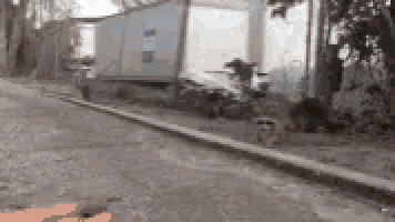 a raccoon is walking down a sidewalk next to a building with a sign that says ' no parking '