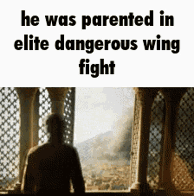 a man standing in front of a window with the words `` he was parented in elite dangerous wing fight '' written on it .