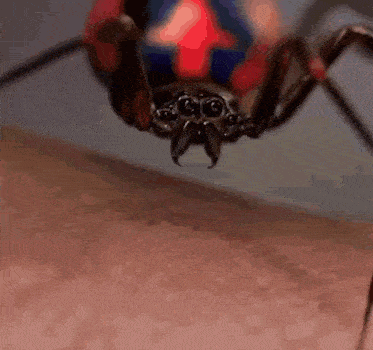 a spider is crawling on a person 's skin .