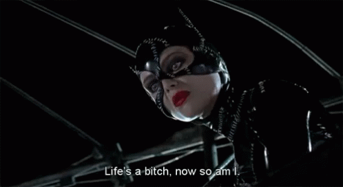 Catwoman Lifes A Bitch So Am I GIF - Catwoman Lifes A Bitch So Am I GIFs