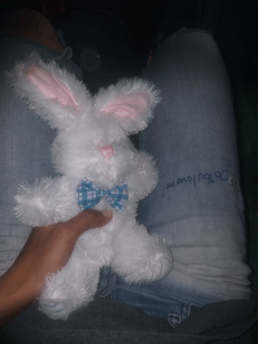 a person is holding a stuffed bunny with a blue bow tie