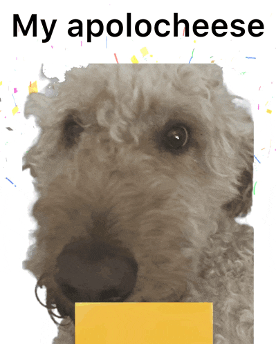 a picture of a dog with the words " my apolocheese " above it