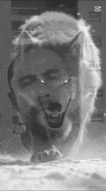 a black and white painting of a wolf with a man 's face behind it