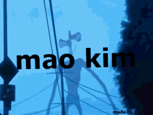 Mao Kim GIF - Mao Kim Mao Kim GIFs