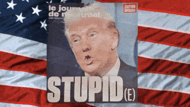 a magazine with donald trump on the cover is titled stupid