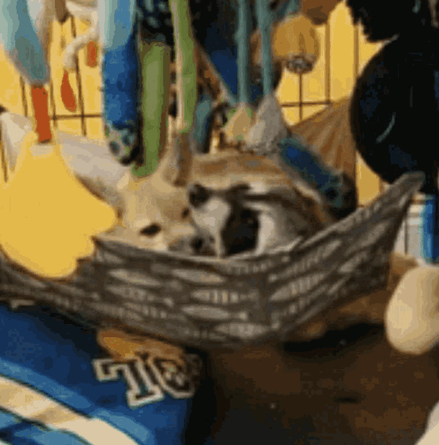 Raccoon And Fox Mwah GIF - Raccoon And Fox Mwah Kith GIFs
