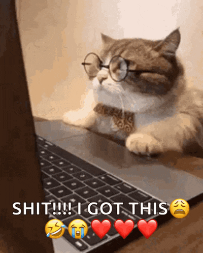a cat wearing glasses and a tie is laying in front of a laptop computer