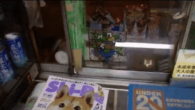 a magazine with a dog on it is displayed in a store