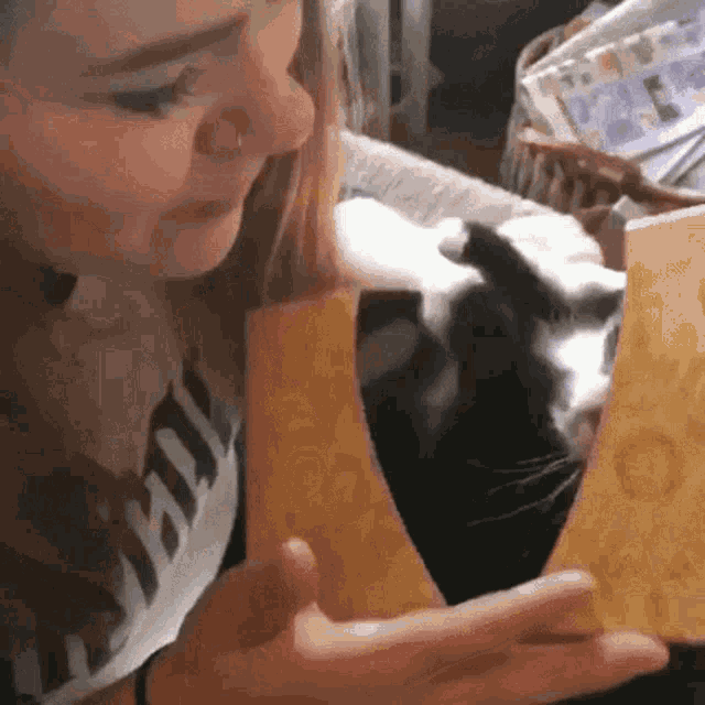 Gato Beso Cat Kiss GIF - Gato Beso Cat Kiss Pet GIFs