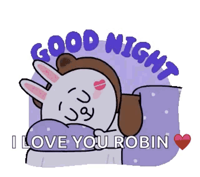 a cartoon of a rabbit and a bear saying good night and i love you robin .