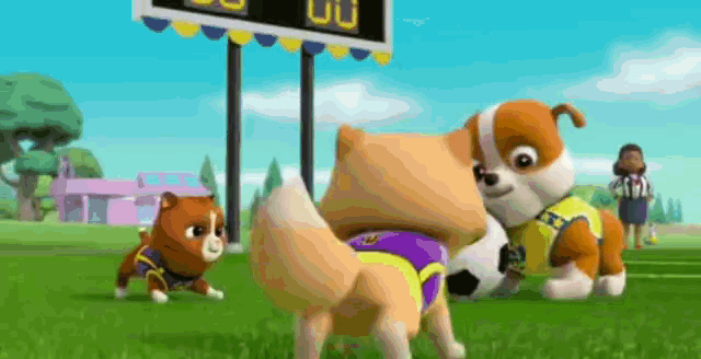 two dogs are playing soccer on a field with a referee in the background .