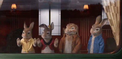 Looking Out The Window Mopsy Rabbit GIF - Looking Out The Window Mopsy Rabbit Flopsy Rabbit GIFs