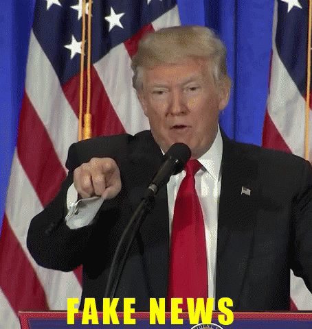 Donald Trump Fake News GIF