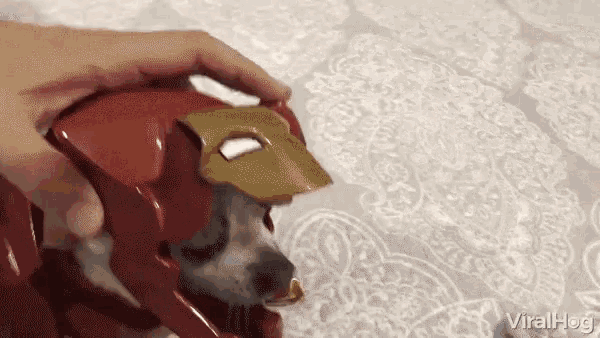 a person is petting a dog wearing an iron man helmet .