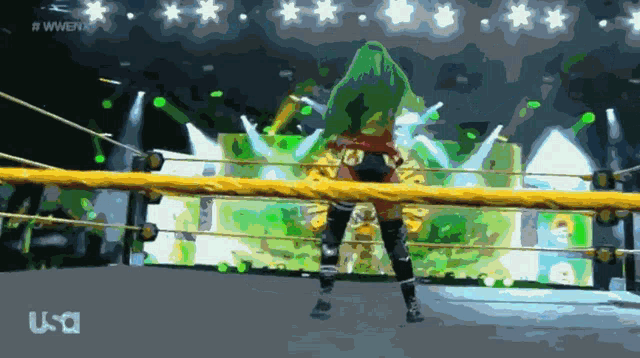 a painting of a woman in a wrestling ring with the letters usa on the bottom