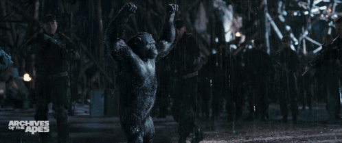 Planet Of The Apes Rocket GIF - Planet Of The Apes Rocket Hands Up GIFs