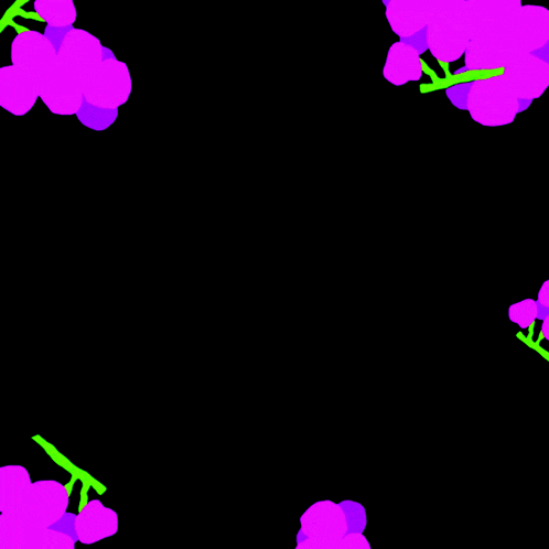 arabic writing on a black background with purple flowers around it