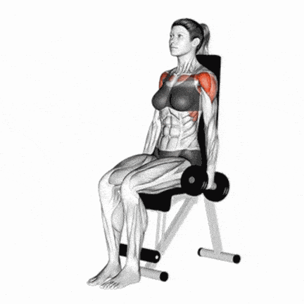 a woman is sitting on a bench holding a pair of dumbbells over her shoulders .