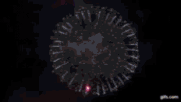 a fireworks display is being displayed in the night sky .