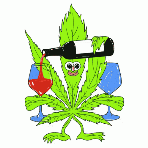 Marijuana Drugs GIF