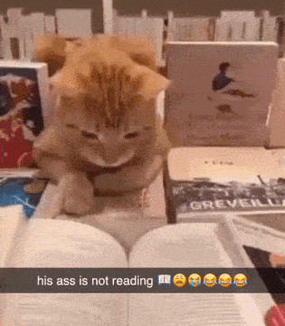 a cat laying on top of a stack of books with a caption that says his ass is not reading