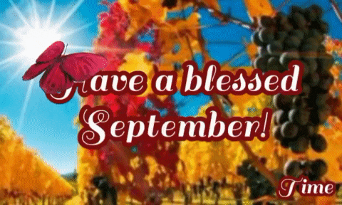 a butterfly is flying over a bunch of grapes with the words have a blessed september