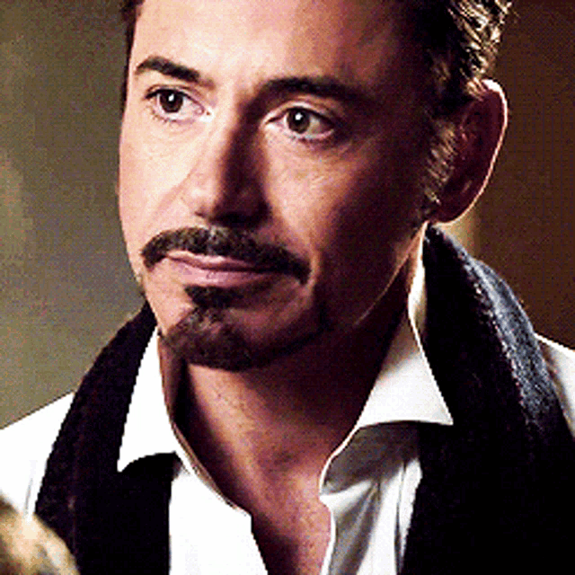 Tony Starj Robert Downey Junior GIF