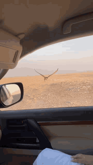 a person sitting in a car with a bird flying in the background