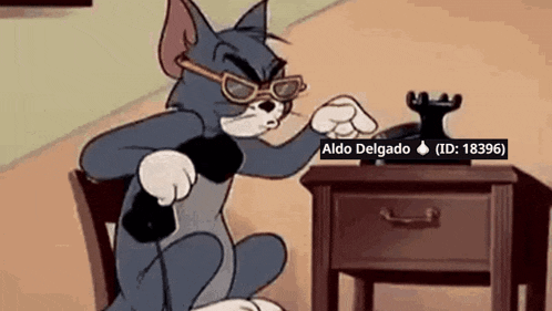a cartoon cat is sitting at a desk with aldo delgado written on the bottom