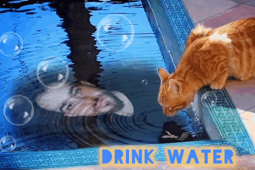 a cat looking at a man 's reflection in a pool of water with the words drink water below it