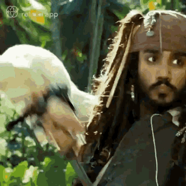 a man in a pirates of the caribbean costume holding a bird