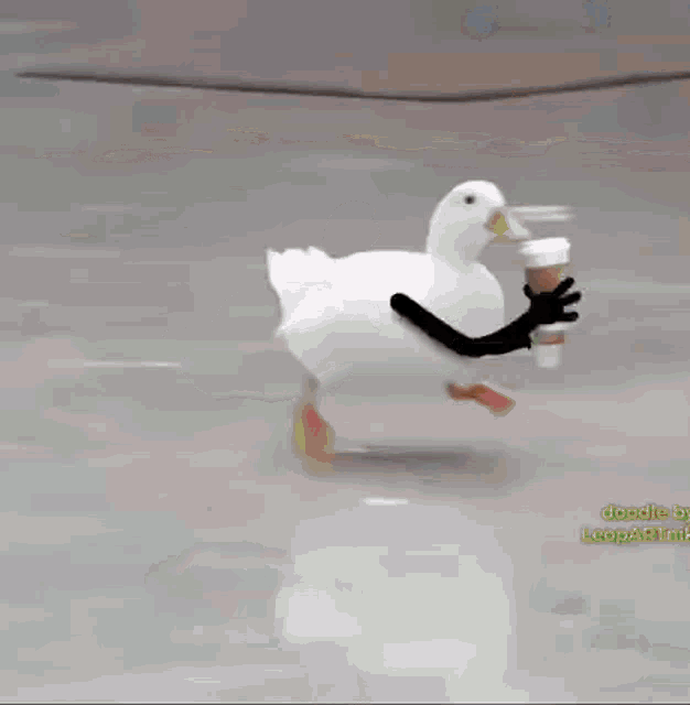 Duck Coffee GIF - Duck Coffee Duck Hand GIFs