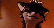 a black and white cat with a crown on its head is looking at the camera .