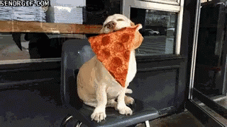 Dig Pizza GIF - Dig Pizza Happy GIFs