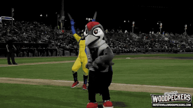 a mascot for the woodpeckers stands on the field