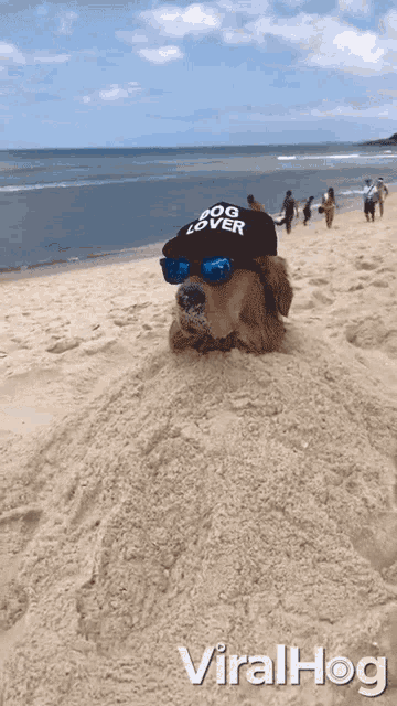 Chilling Relax GIF - Chilling Relax Like A Boss GIFs