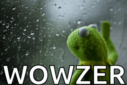 kermit the frog is looking out a window with the words wowzer written on the bottom