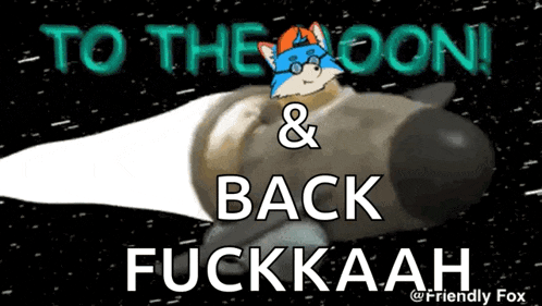 a cartoon of a rocket with the words " to the moon & back fuckkaah "