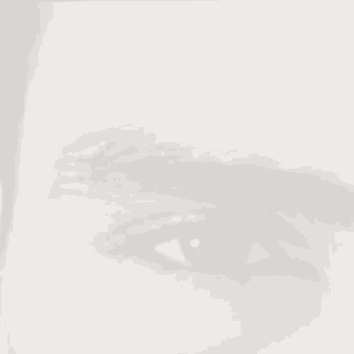 a picture of a woman 's eye with the words te amo rachid