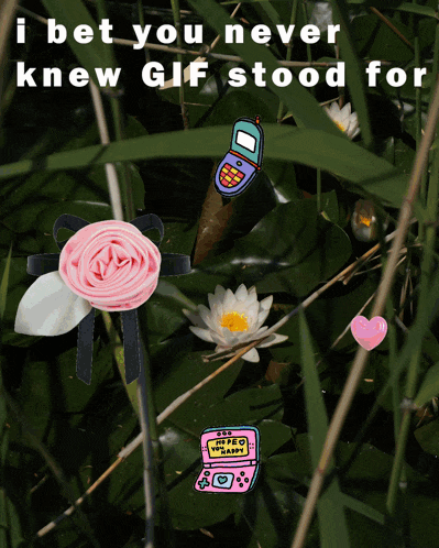 a picture of flowers with the words i bet you never knew gif stood for on the top