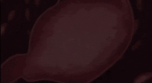 a close up of a red stomach with a red background